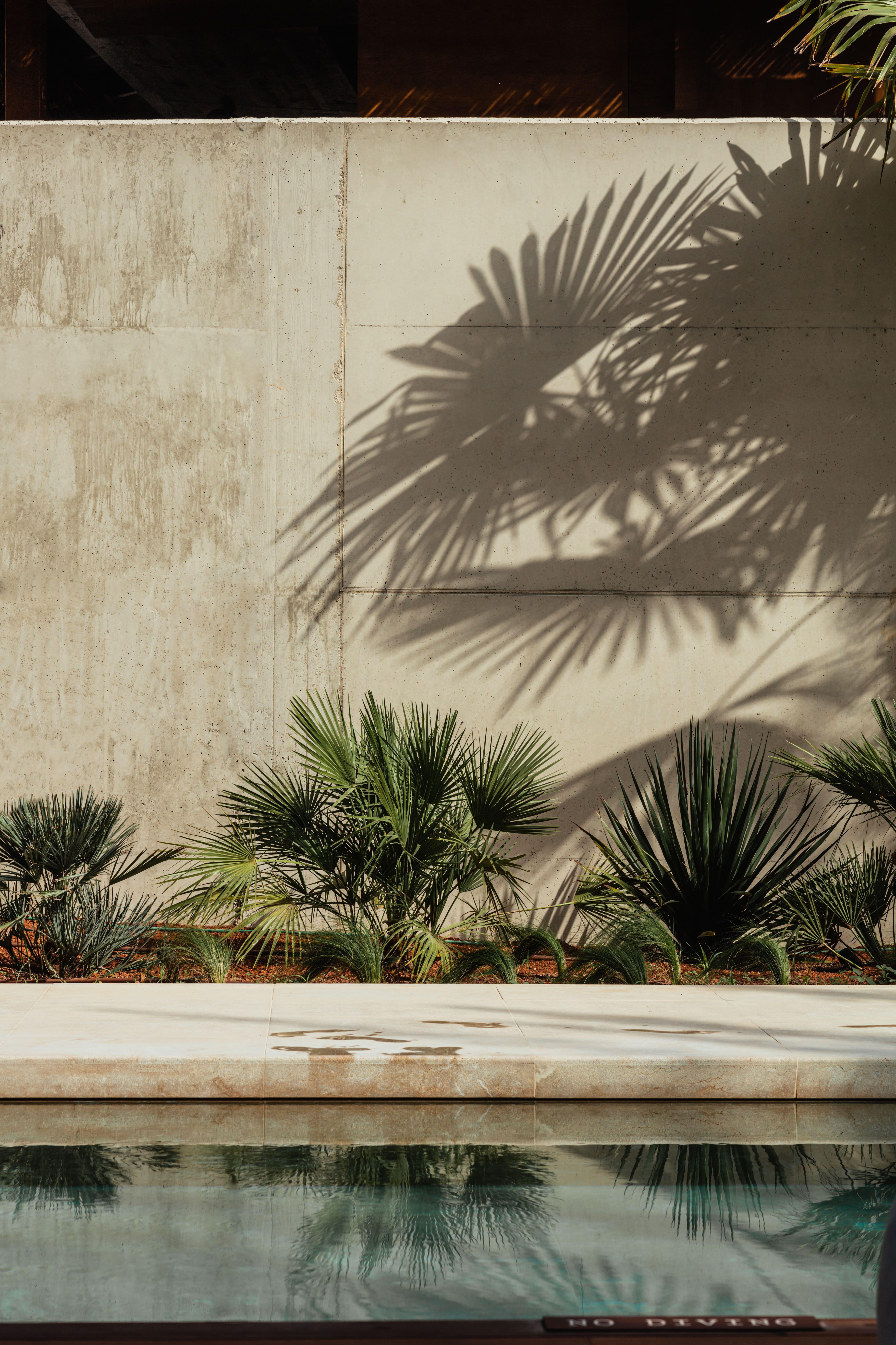 ホテル Oku Ibiza (Adults Only) サンアントニオアバド エクステリア 写真 Palm shadow